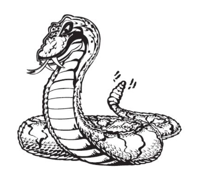 hand drawn black and white rattlesnake